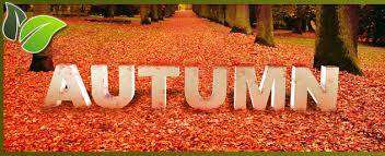 Photo of fallen Autumn leaves and Car Shipping Quotes