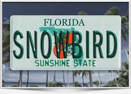 Florida Auto Transport Cost Calculator photo of Snowbird Season license plate